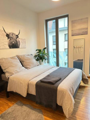 Gemütliches WG-Zimmer in der Dresdner Altstadt